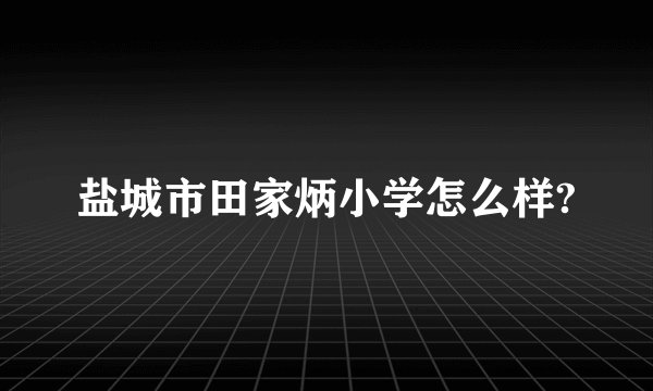 盐城市田家炳小学怎么样?