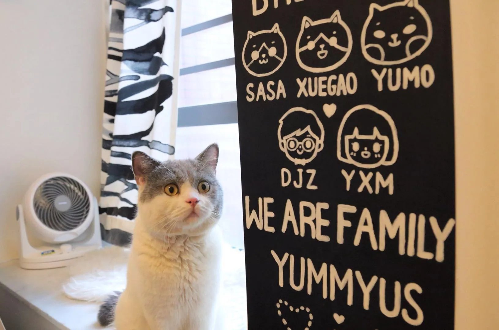 拍摄花絮，满足你的吸猫日常~~