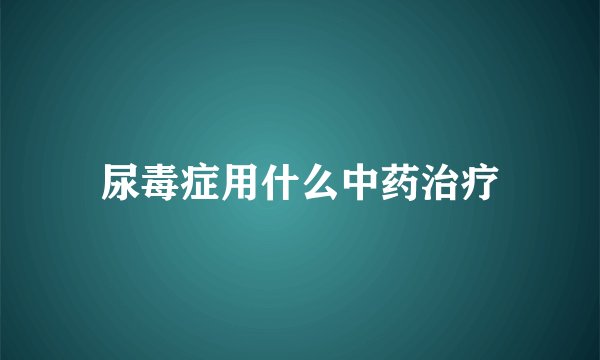 尿毒症用什么中药治疗
