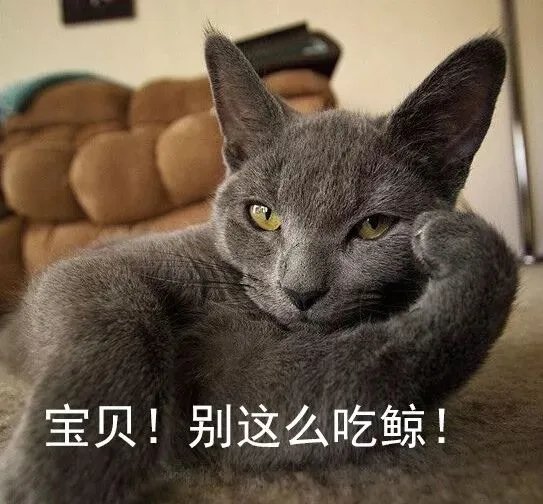 双11狂欢升级！2019猫晚顾家又C位全场了！