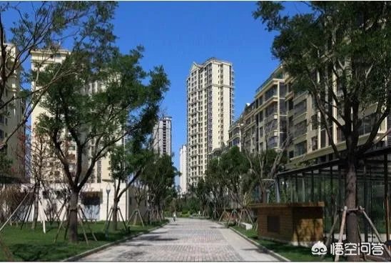 哈尔滨物业管理条例不交物业费电梯