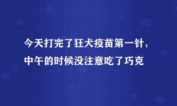 今天打完了狂犬疫苗第一针，中午的时候没注意吃了巧克