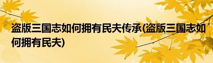 盗版三国志如何拥有民夫传承(盗版三国志如何拥有民夫)