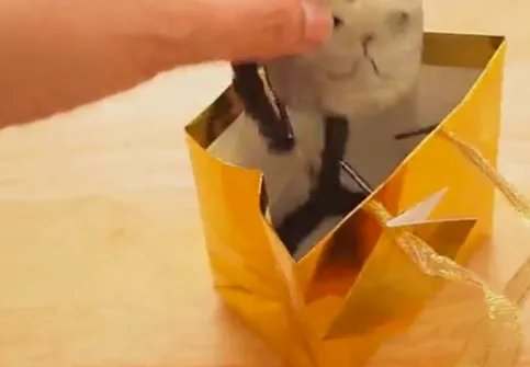 贺卡制作方法大全简单 教师节