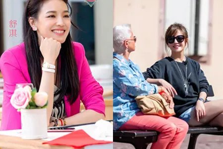 赵薇舒淇退回片酬 关注明星高收入