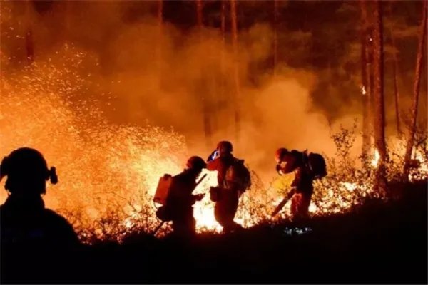 四川凉山19死森林火灾调查结果公布，怎么处理的？