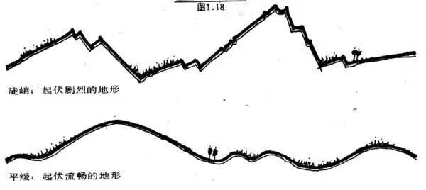 干货 | 庭院植物打造，营造十足空间感
