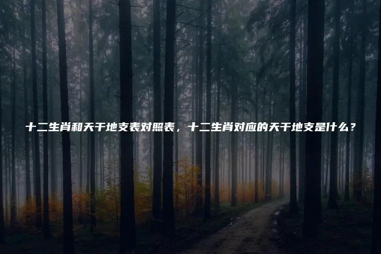 十二生肖和天干地支表对照表，十二生肖对应的天干地支是什么？