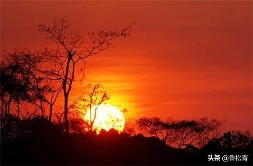 老有所为的精神是什么