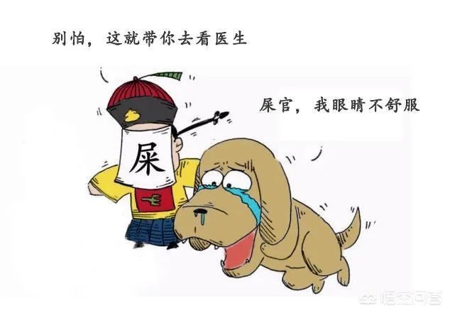 狗狗泪痕怎么解决？