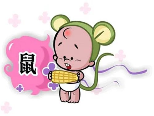 属鼠人的婚姻与属命运  属鼠人与属不同属相的婚姻状况