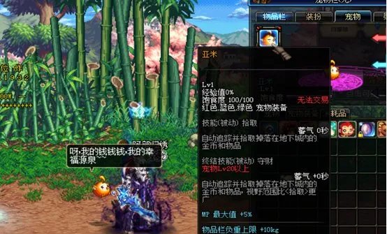 DNF宠物亚米拾取物品怎么设置