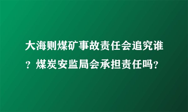 大海则煤矿事故责任会追究谁？煤炭安监局会承担责任吗？