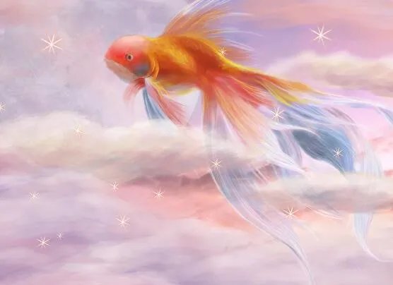 漂亮的金鱼是由什么鱼演变而来的  金鱼实际上是什么鱼