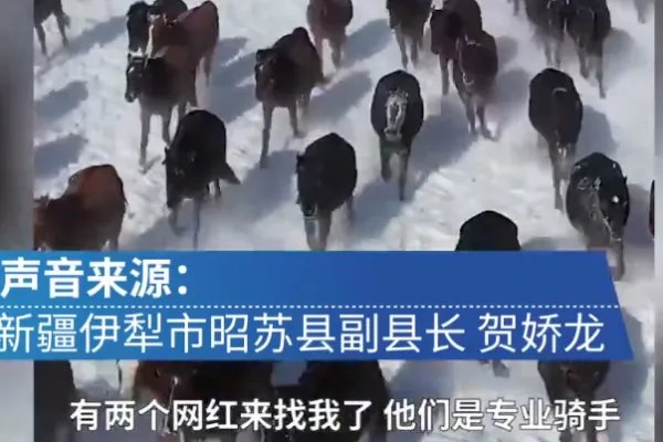 女副县长策马为当地旅游代言视频火爆，都有哪些亮点？