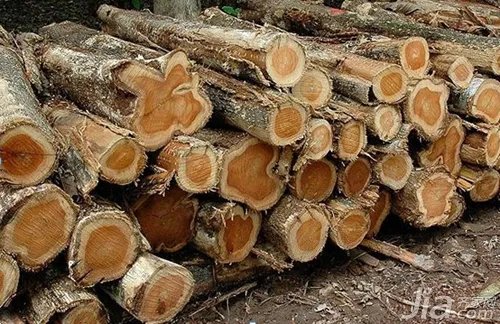 实木地板的产地及特性分析