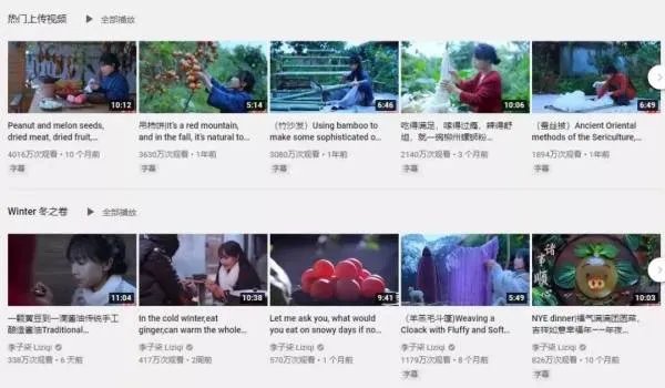 坐拥几千万粉丝的李子柒，被质疑的真实，到底长什么样？