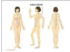 黄帝内经使用手册