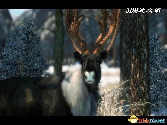 坎贝拉野外冒险2010图文攻略 全关卡玩法教程