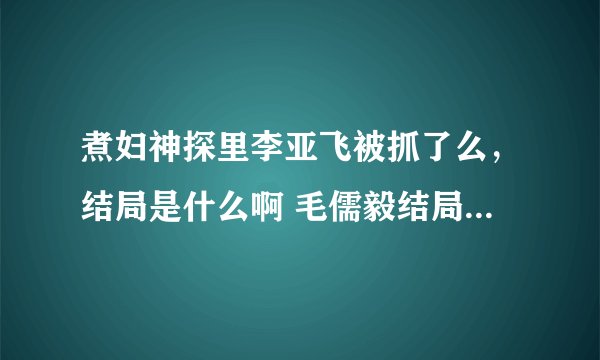 煮妇神探里李亚飞被抓了么，结局是什么啊 毛儒毅结局是怎样的