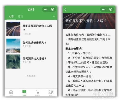 宠物小程序怎么制作？