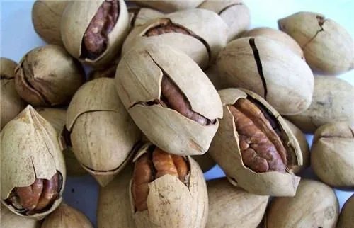 新疆特色干果有哪些？