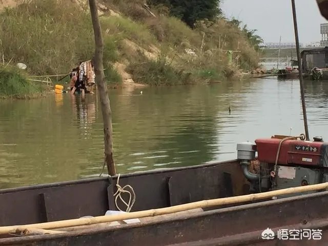 看过《北京青年》后你都有哪些感受呢?