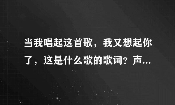 当我唱起这首歌，我又想起你了，这是什么歌的歌词？声音貌似像小贱