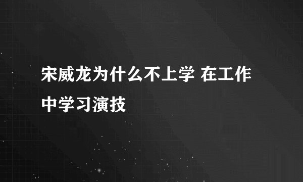 宋威龙为什么不上学 在工作中学习演技