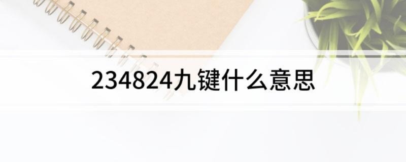 234824九键什么意思
