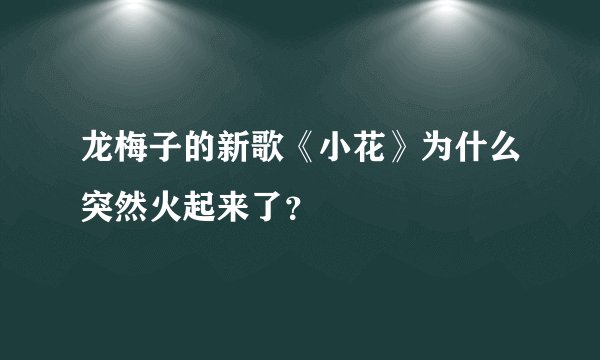 龙梅子的新歌《小花》为什么突然火起来了？