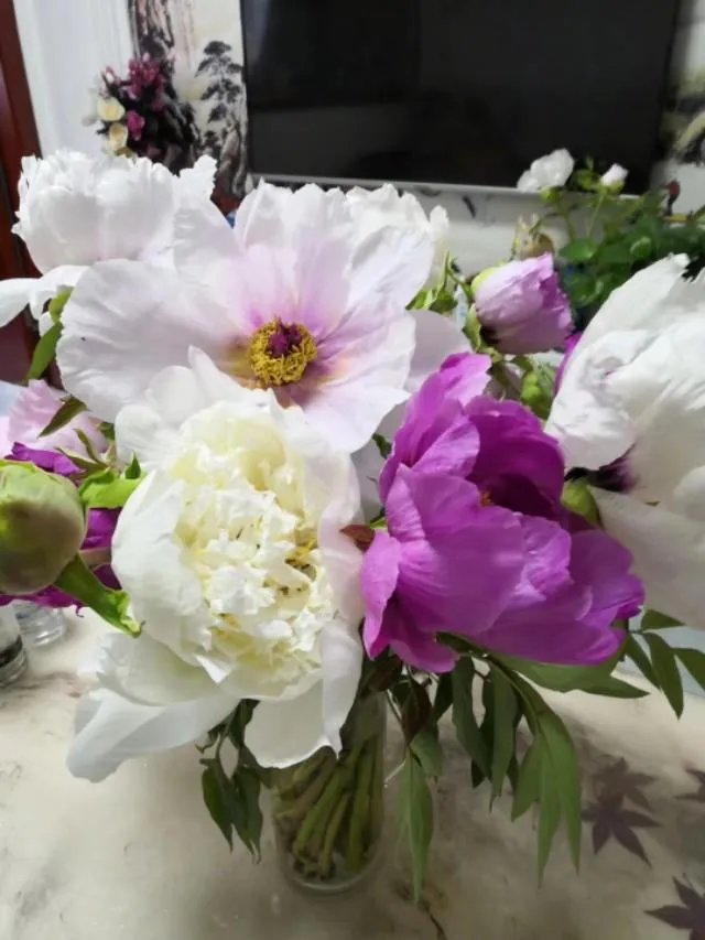 美新冠死亡人数8万确诊病例143万，联合国为何不将其列为疫区？