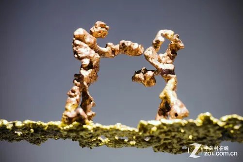 从零学摄影第5期 你的照片为何拍不清晰