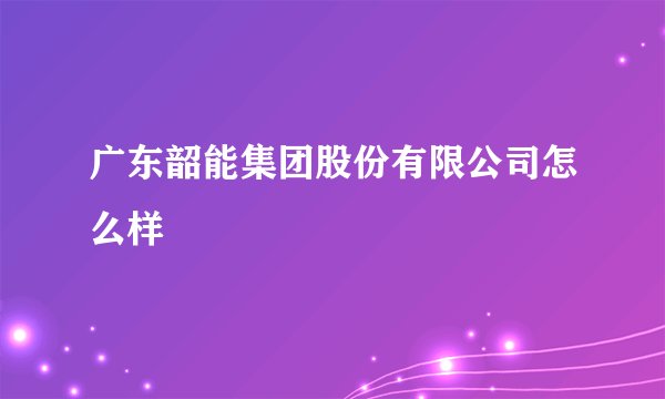 广东韶能集团股份有限公司怎么样