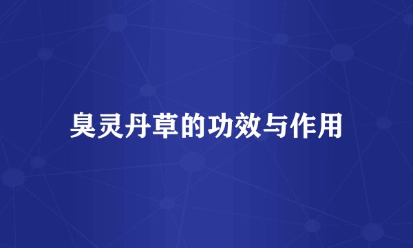 臭灵丹草的功效与作用