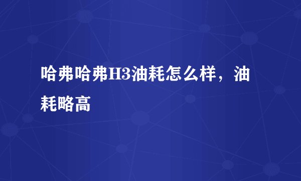 哈弗哈弗H3油耗怎么样，油耗略高