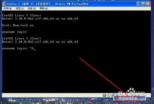 virtualbox 网络设置