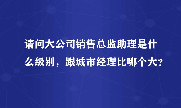 请问大公司销售总监助理是什么级别，跟城市经理比哪个大？