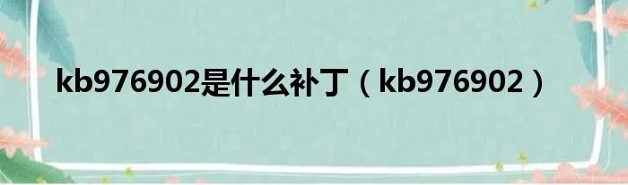 kb976902是什么补丁（kb976902）