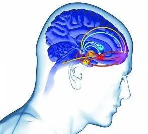 nmn修复端粒过程是怎么样的？ nmn抗衰老的副作用有没有