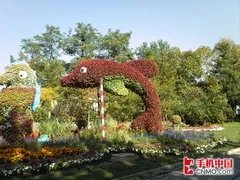 500万像素仅1K9 超强拍照机行水价格PK