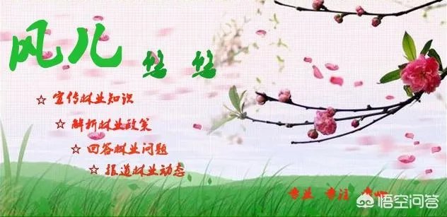 有人说苗木的行情不好，是真的吗？