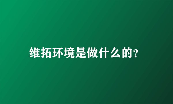 维拓环境是做什么的？