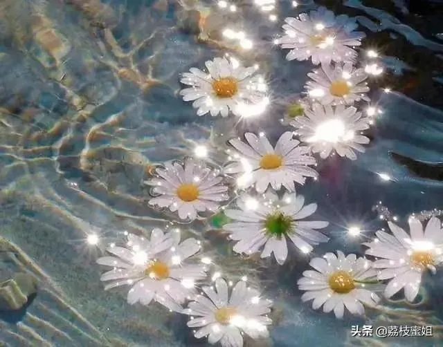 心里面明明有点喜欢对方，却不想找ta聊天，我该怎么办？