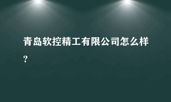青岛软控精工有限公司怎么样？