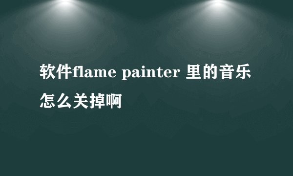 软件flame painter 里的音乐怎么关掉啊