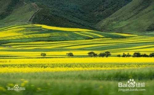 甘肃民乐扁都口自驾游攻略