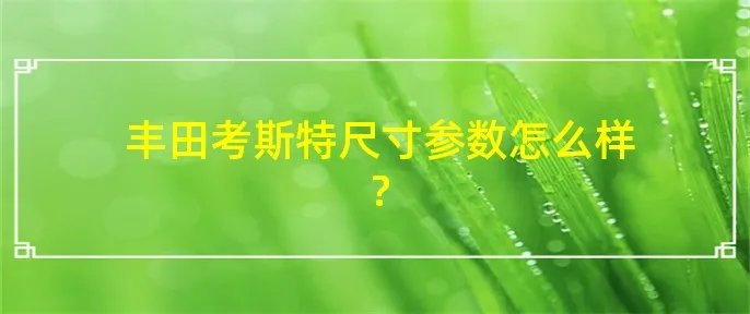 丰田考斯特尺寸参数怎么样?