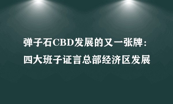 弹子石CBD发展的又一张牌：四大班子证言总部经济区发展