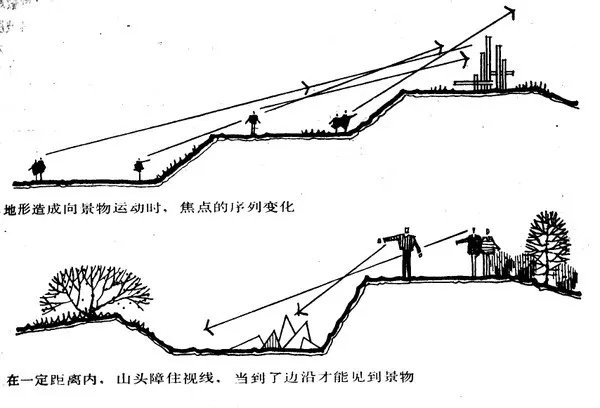 干货 | 庭院植物打造，营造十足空间感